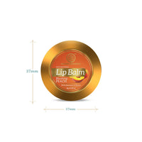 Khadi Natural Peach Lip Balm with Beeswax and Shea Butter | Natural Lip Balm for Soft & Hydrated Lips | Herbal Lip Balm for Chapped Lips | Free from Harsh Chemicals | Unisex Lip Balm