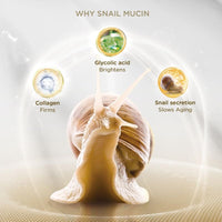 Bio Essence Bio-Snail Repair & Smooth Cream With Snail Extract (50Gm) | Non-Sticky And Fast-Absorbing Cream For Deep Hydration | Snail Mucin | Snail Moisturizer | Formulated For Indian Conditions