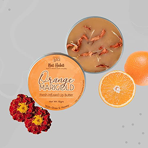 Nat Habit Orange Marigold Lip Balm Fresh Infused Lip Butter With Desi Ghee & Raw Honey For Lip Pigmentation, Lightening, Lip Repair, Dark And Chapped Lips (10gm)