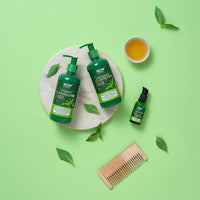 WOW Skin Science Green Tea Restoring Gift Kit for Men & Women | Premium Luxury Gift Set | Diwali Gift Kit | Skin & Hair Care | Shampoo, Conditioner, Face Serum | Combo Pack of 3