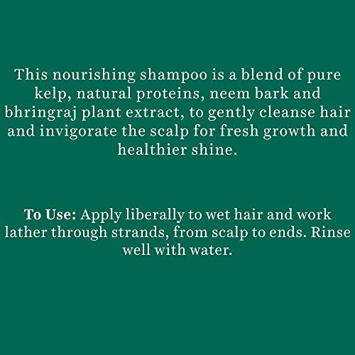 Biotique Ocean Kelp Anti Hairfall Shampoo | Intensive Hair Growth Therapy| Anti Hairfall Shampoo that Maintains Shine |100% Botanical Extracts | Suitable for All Hair Types |650ml