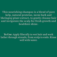 Biotique Ocean Kelp Anti Hairfall Shampoo | Intensive Hair Growth Therapy| Anti Hairfall Shampoo that Maintains Shine |100% Botanical Extracts | Suitable for All Hair Types |650ml