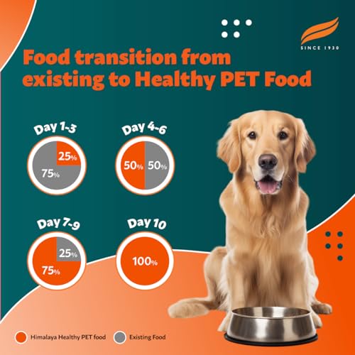 Himalaya Healthy Pet Food | Chicken & Pumpkin Flavor | For Healthy Appetite & Shiny coat | 100% Complete & Balanced Food for Adult Dogs | 1.2 kg Pack