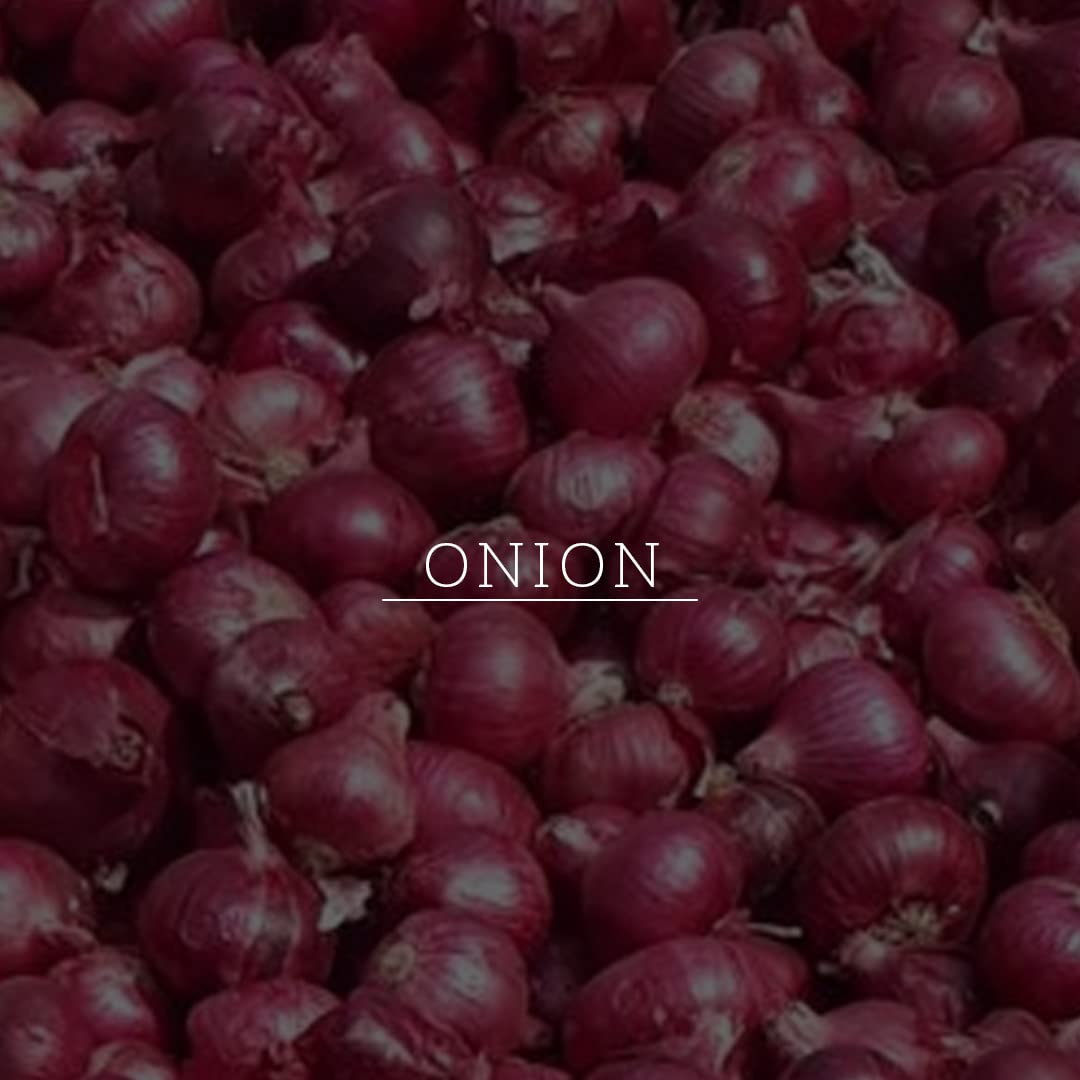 Khadi Natural Powered Botanics Onion and Fenugreek Hair Mask 200g, Strengthens, Nourishes and Revives Hair Naturally, Suitable for dry hair type