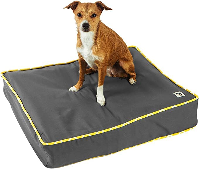 Molly Mutt Medium to Large Dog Bed Cover - I’M A Realist Print - Measures 27”X36”X5’’ - 100% Cotton - Durable - Breathable - Sustainable - Machine Washable Dog Bed Cover (dd45ab) 27.0"L x 36.0"W x 5.0"Th I'm a Realist - New Version