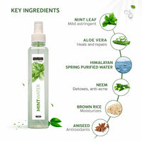 INDUS VALLEY Natural Mint Water Facial Toner - Chemical Free - 250 ml