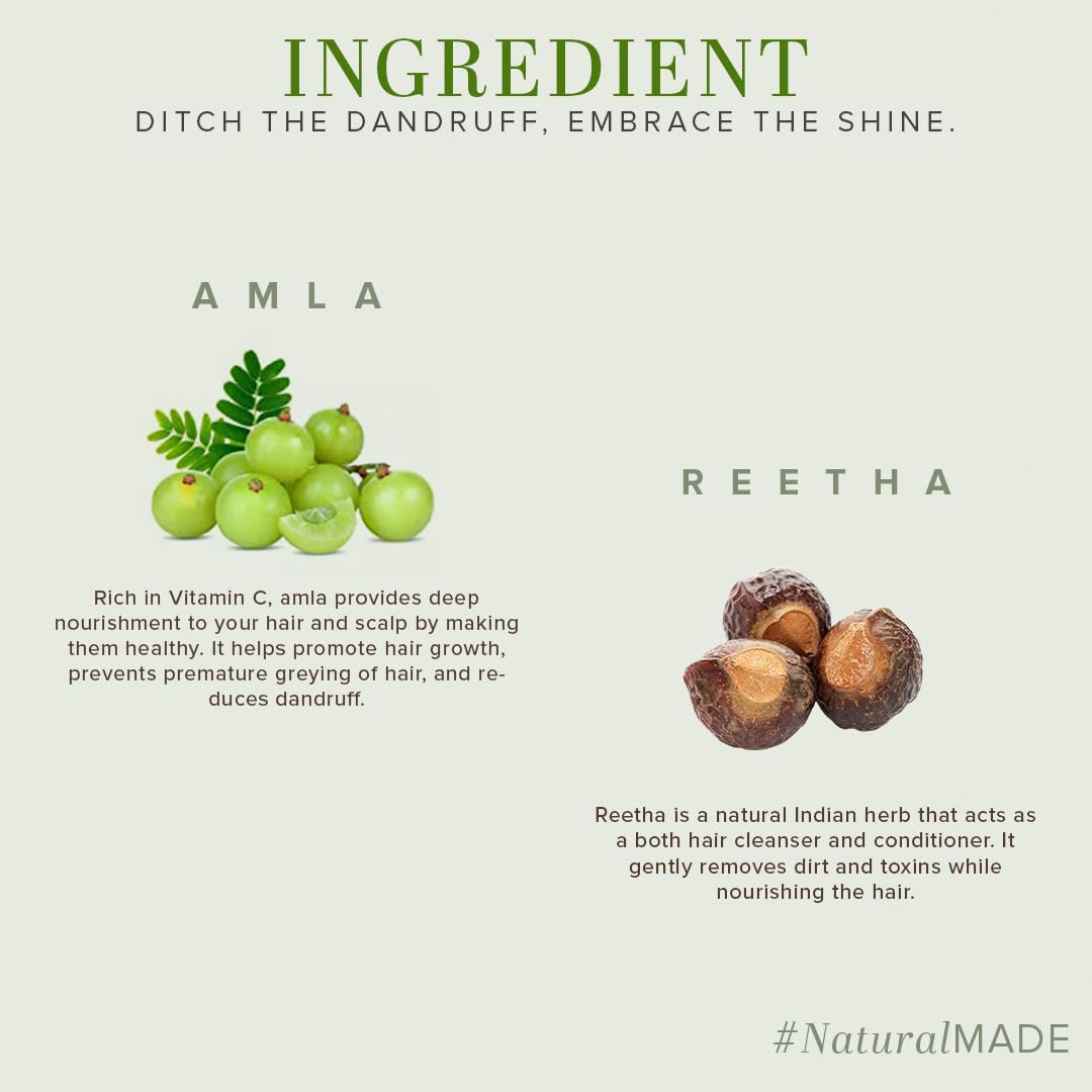 Khadi Natural Amla & Reetha Hair Shampoo | Anti-Hair Fall Shampoo | Shampoo for Thick & Strong Hair | Ayurvedic Shampoo for Healthy Hair | Suitable for All Hair|Pack of 2 | (210 * 2) (420 ml)