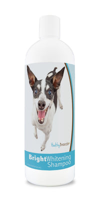 Healthy Breeds Rat Terrier Bright Whitening Shampoo 12 oz