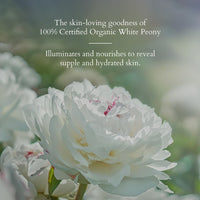 Lotus Organics+ Precious Brightening Cream | For Dark Spots, Blemishes & Pigmentation | SPF 20 Moisturizer | 50g