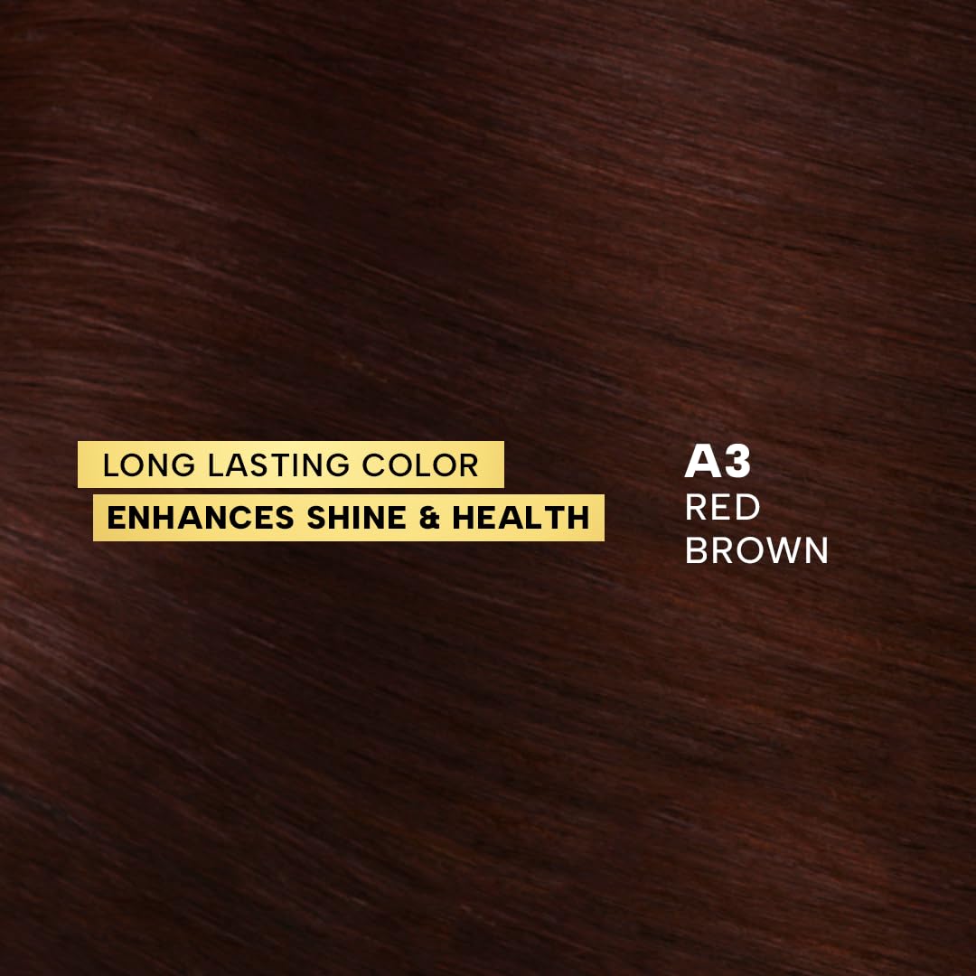 Berina Professional | Permanent Hair Color Cream | 60gm | A03 Red Brown | Long Lasting Color