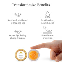 Shankara Gheesutrā Mango Lip Butter, Ayurvedic Lip Balm for Soothing Dry, Inflamed and Chapped Lips - Nourishment, Moisturizing and Hydration up to 12 Hours - 5 ml (Pack of 1)