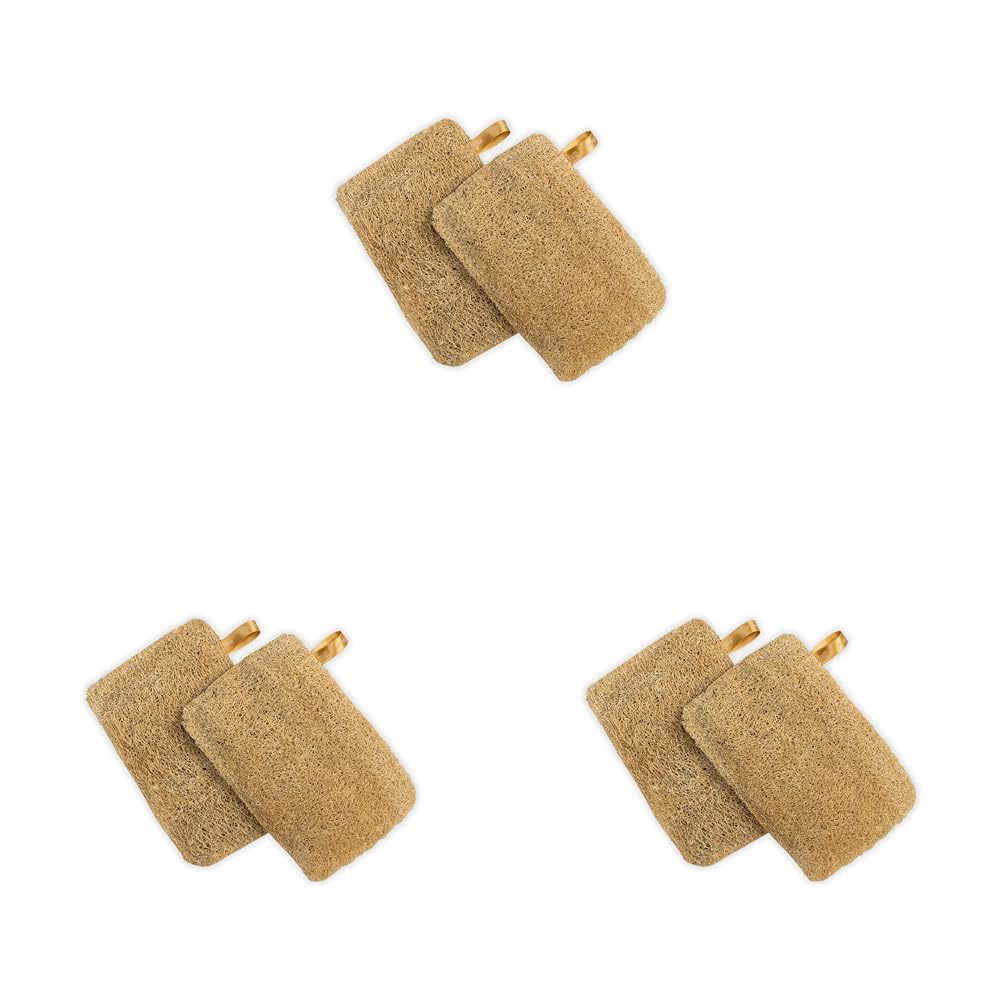 Nat Habit - Back To Natural Secrets Everyday Nat Habit Natural Sun Dried Bath Loofah | Body Sponge & Scrubber for Men & Women | Organic Luffa for Bath Shower Skin Exfoliation (Pack of 6)