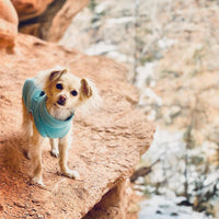 Gooby Zip Up Fleece Dog Sweater - Turquoise, Small - Warm Pullover Fleece Step-in Dog Jacket with Dual D Ring Leash - Winter Small Dog Sweater - Dog Clothes for Small Dogs Boy and Medium Dogs Small chest (~13.5