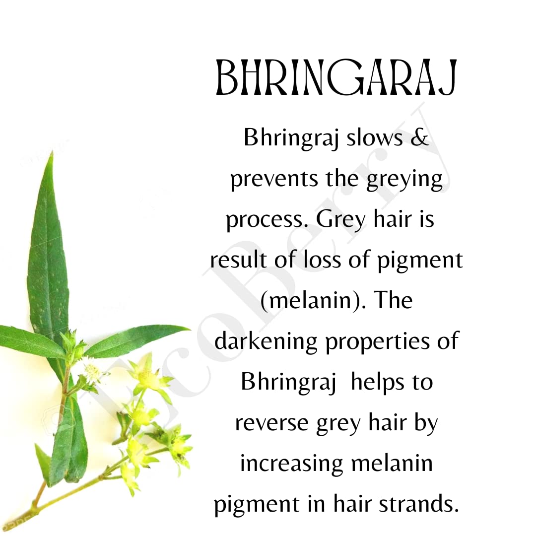 EcoBerry Bhringraj Curry Leaves Indian Gooseberry Hair Darkening Oil | 100% Natural, Organic & Vegan | Strengthens Hair, Reduces Breakage, Dandruff & Dry Scalp | Chemical-Free, Alcohol-Free, Paraben-Free | 100ml