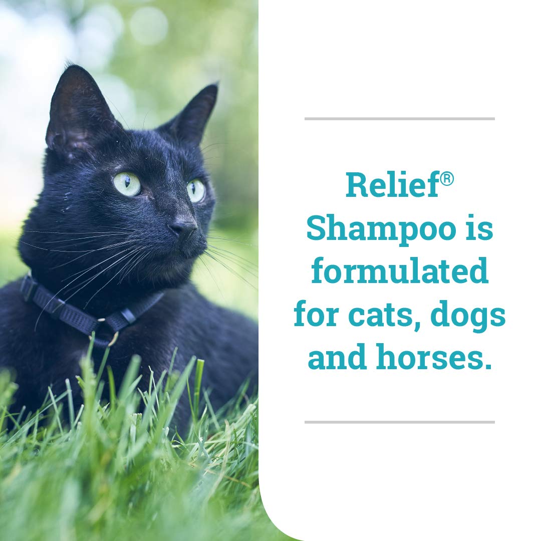 Elanco Relief Shampoo, temporary relief of itching and flaking, moisturizer for dry skin and coat, for dogs, cats and horses, 8 oz