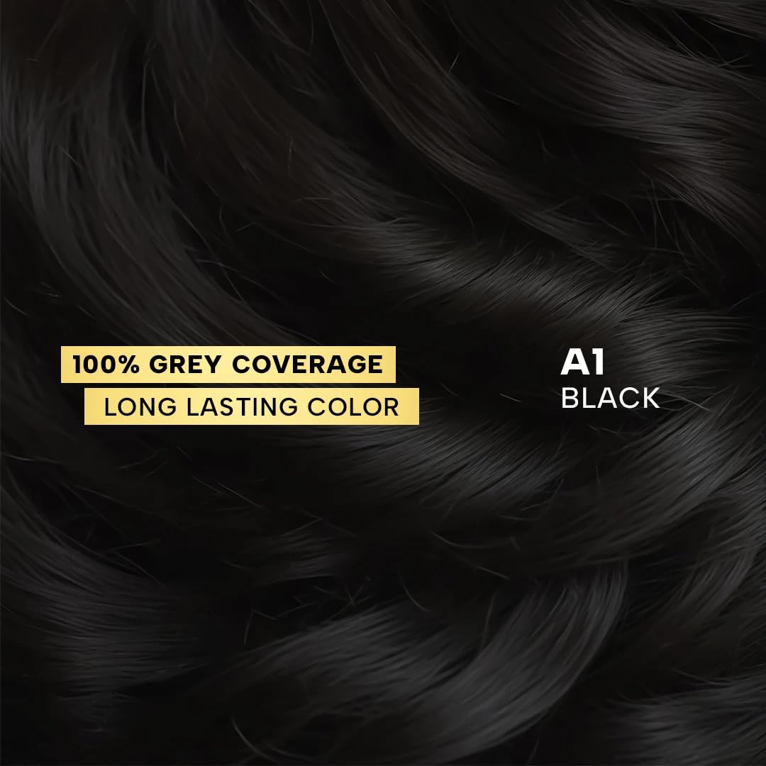 Berina Professional | Permanent Hair Color Cream | 60gm | A01 Black | Long Lasting Color