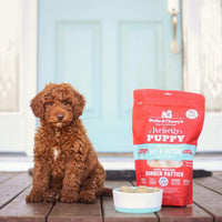 Stella & Chewy's  Freeze Dried Raw Dinner Patties – Crafted for Puppies – Grain Free, Protein Rich Perfectly Puppy Beef & Salmon Recipe – 14 oz Bag 14 Ounce (Pack of 1)