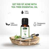 Indus Valley 100% Pure Natural & Organic, Undiluted Tea Tree Essential Oil with Therapeutic Grade & Glass Dropper for Skin, Hair Care -15ml