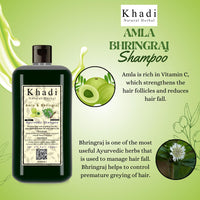 Khadi Natural Herbal Amla Bhringraj Shampoo 500 ml And Aloevera Conditioner 200 ml Combo Suitable For Hair Growth | Dry and Frizzy Hair - Controls Hair Fall Parben And Sls Free