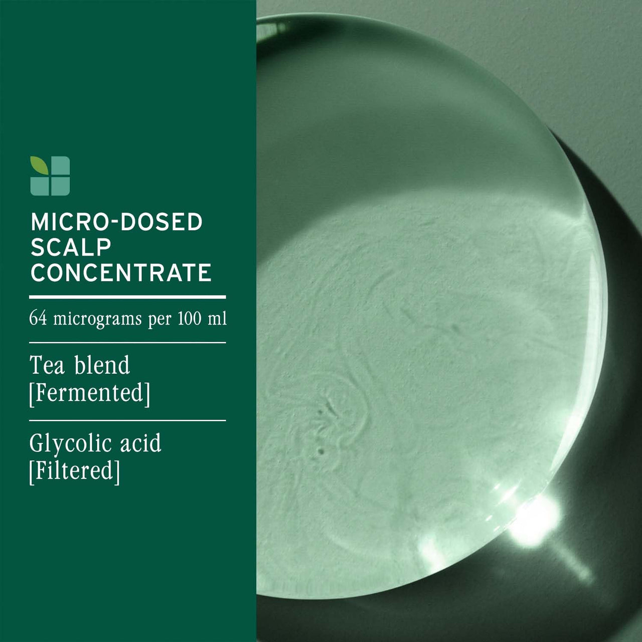 Biolage ScalpSync Concentrate –Scalp Exfoliating & Purifying Treatment, Clarifies Build-Up & Balances Scalp for upto 72hrs-With Fermented Tea Blend & Glycolic Acid, 200ml