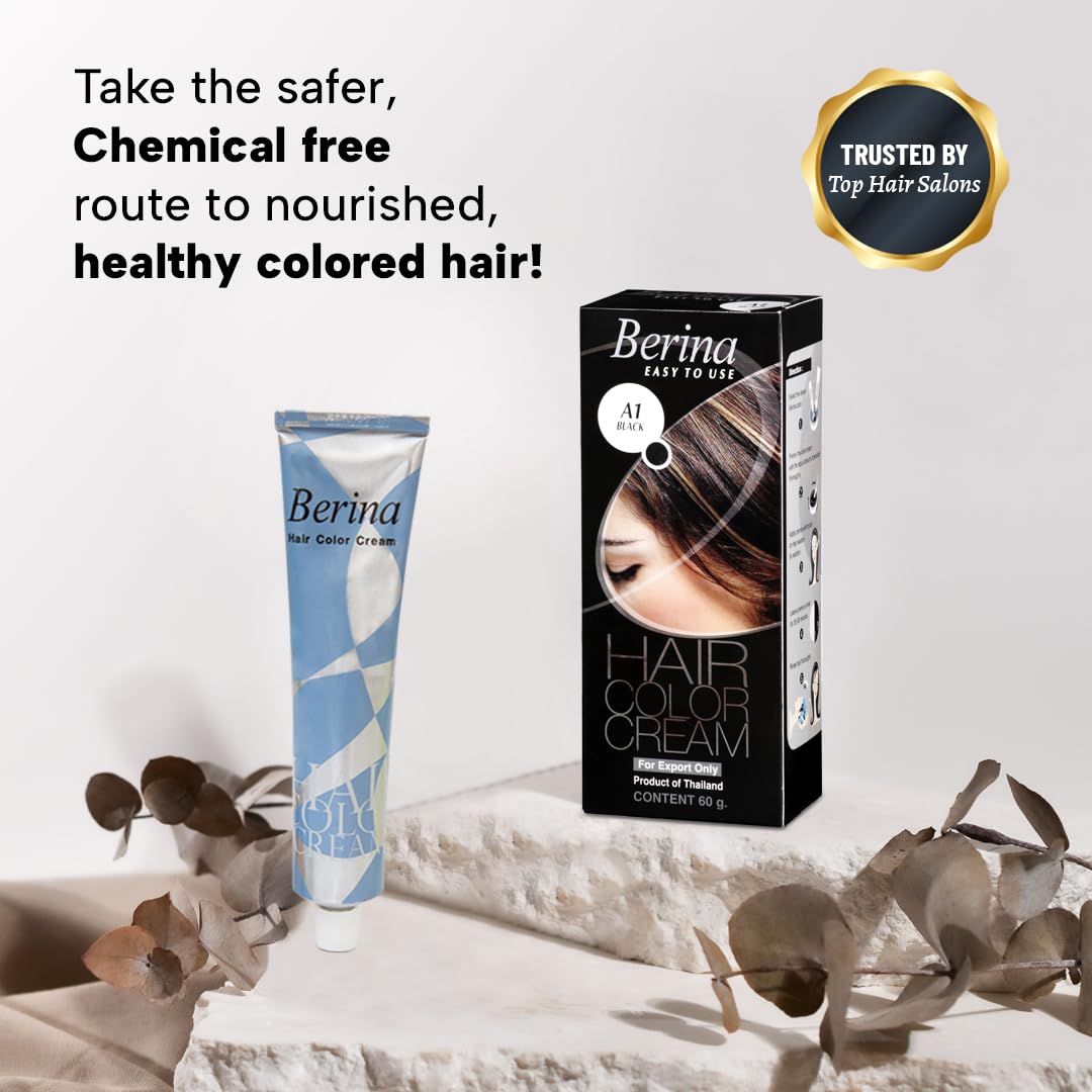 Berina Professional | Permanent Hair Color Cream | 60gm | A01 Black | Long Lasting Color