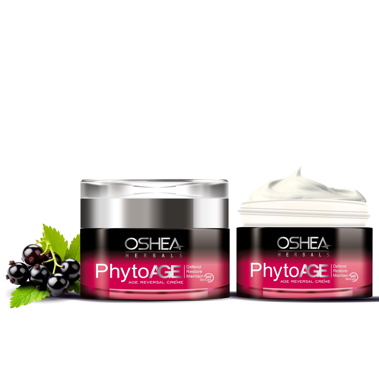 Oshea Herbals PhytoAge Age Reversal Anti Wrinkle Face Cream For All Skin Types | Improves Skin Tone, Age Spots & Under Eye Dark Circles | Free from Paraben & Artificial Color - 50 g… (Pack of 2)
