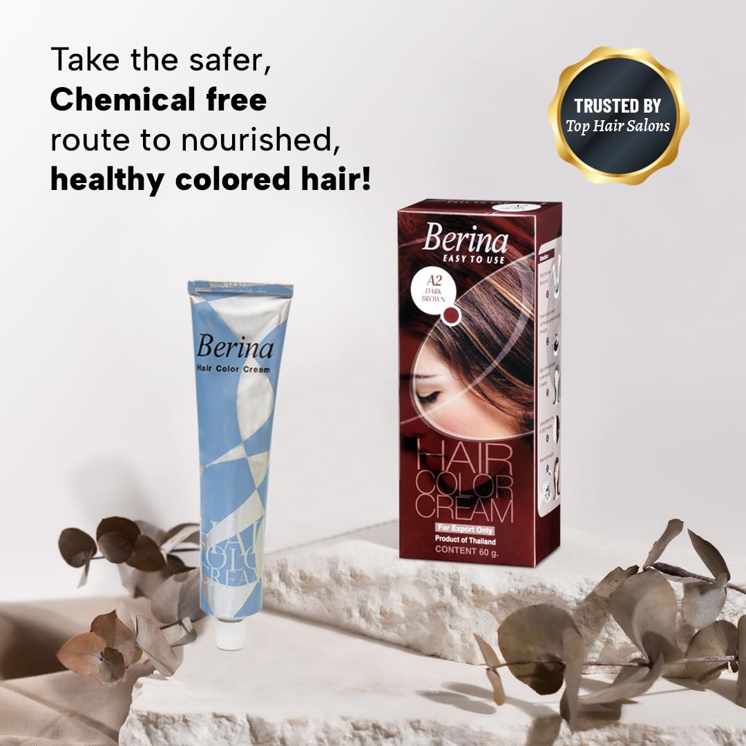 Berina Professional | Permanent Hair Color Cream | 60gm | A02 Dark Brown | Long Lasting Color