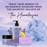 LUX LAVENDER & VIT C SHIM BW 400ml