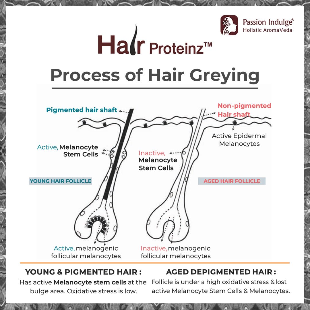 Passion Indulge Anti Grey Hair Serum -50 ml | Hair Proteinz Serum with Arcolys, Black Tea & Amla | Restore Natural Color