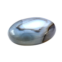 Dendrite Agate Palm Stone - Pocket Massage Worry Stone for Natural Body Chakra Balancing, Reiki Healing and Crystal Grid Dendrite Agate