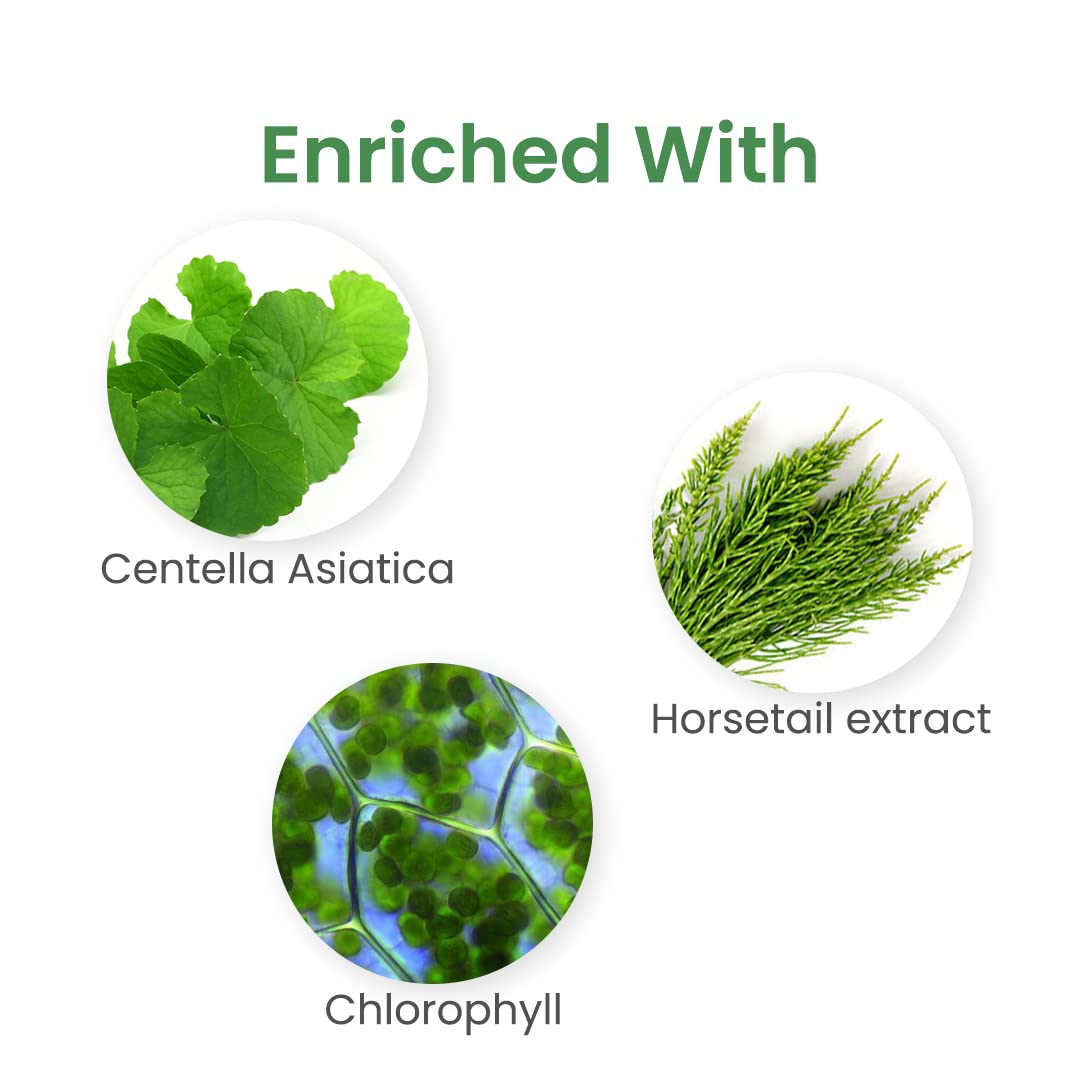 Earth Rhythm Phyto Gel with Centella Asiatica & Horsetail Extract | Fade Scars | Fight Acne Breakouts | Heals & Hydrates Skin | Oily & Sensitive Skin For Men & Women - 50g