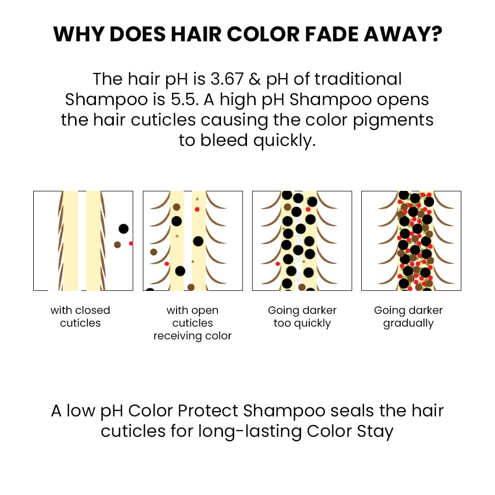 Thriveco Color Protection Shampoo | For Dye & Color Treated Hair | Bond Building Tech HYAPLEX™ & Hyaluronic Acid | Promotes Shine & Color Vibrancy | For Men & Women | 250ml (Pack of 1 (shampoo))