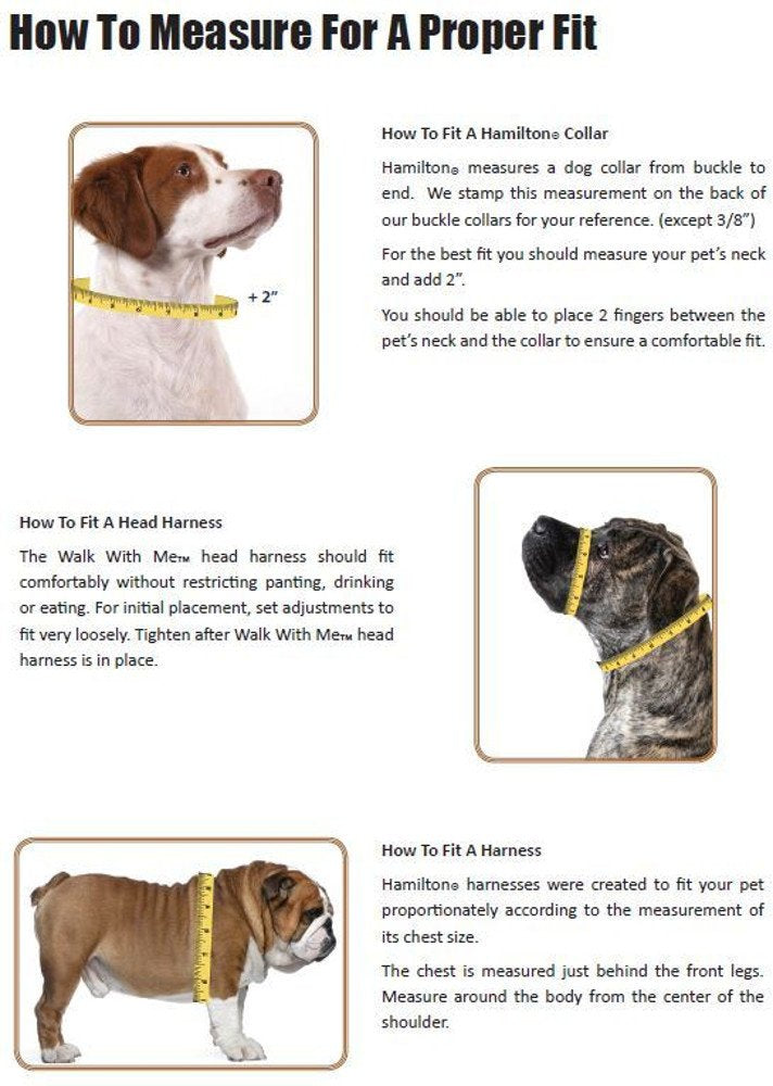 Hamilton Adjustable Comfort Nylon Dog Harness, Purple, 3/8" x 10-16" X-Small, 3/8" x 1-16"