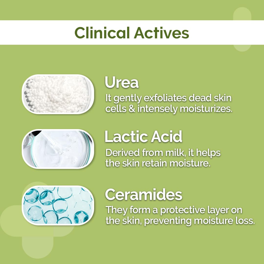 The Derma Co 4% Urea Deep Moisturizing Cream with Lactic Acid & Ceramide Complex | Deeply Moisturizes | Gently Exfoliates| Repairs Skin’s Natural Barrier | Lightweight Formula I For Very Dry Skin-100g