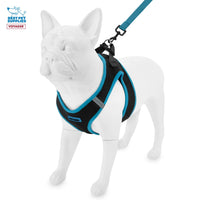 Voyager Step-in Air All Weather Mesh Harness and Reflective Dog 5 ft Leash Combo with Neoprene Handle, for Small, Medium and Large Breed Puppies by Best Pet Supplies - Black/Blue Trim, X-Large Harness Leash Bundle (Blue Trim) XL (Chest: 20.5 - 23