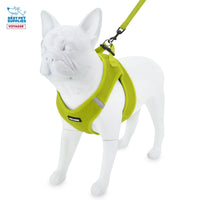 Voyager Step-in Air All Weather Mesh Harness and Reflective Dog 5 ft Leash Combo with Neoprene Handle, for Small, Medium and Large Breed Puppies by Best Pet Supplies - Set (Lime Green), M