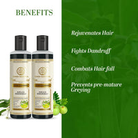 Khadi Natural Amla & Bhringraj Hair Shampoo | Hair Cleanser with Natural Ingredients | Anti-Dandruff Shampoo | Anti-Hair Fall Shampoo | Shampoo for Nourishing Hair| Suitable for All Hair Types, 210 ml (Pack of 2)
