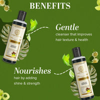 Khadi Natural Amla & Reetha Hair Shampoo | Anti-Hair Fall Shampoo | Shampoo for Thick & Strong Hair | Ayurvedic Shampoo for Healthy Hair | Suitable for All Hair|Pack of 2 | (210 * 2) (420 ml)