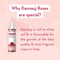WishCare 100% Pure & Natural Rose Water Liquid - For Skin, Face & Hair - Steam Distilled - Kannauj Gulab Jal - Spray Skin Toner - Free From Paraben, Alcohol & Chemicals - 200 ml