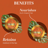 Khadi Natural Peach Lip Balm with Beeswax and Shea Butter| Soft & Hydrated Lips |Lip Balm for Chapped Lips| Unisex Lip Balm| Pack of 3| (5 * 3) (15 gm)