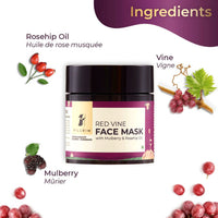 Pilgrim Vino M2(Masking & Moisturising) Combo | Deep Cleansing, Boosts Circulation | Refine Pores | Red Vine Extract Face Mask 100g, Face Cream SPF 30 50g | All Skin type | Men & Women