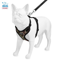 Voyager Step-in Lock Dog Harness w Reflective Dog Leash Combo Set with Neoprene Handle 5ft - Supports Small, Medium and Large Breed Puppies/Cats by Best Pet Supplies - Army/Black Trim, S Harness Leash Set (Army/Black Trim) S (Chest: 15 - 18