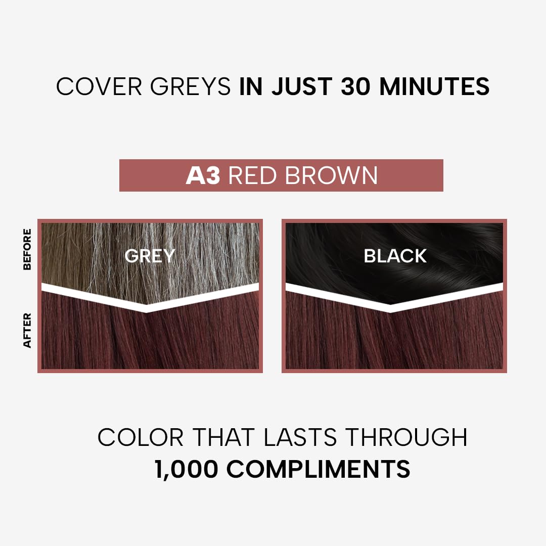 Berina Professional | Permanent Hair Color Cream | 60gm | A03 Red Brown | Long Lasting Color