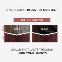 Berina Professional | Permanent Hair Color Cream | 60gm | A03 Red Brown | Long Lasting Color