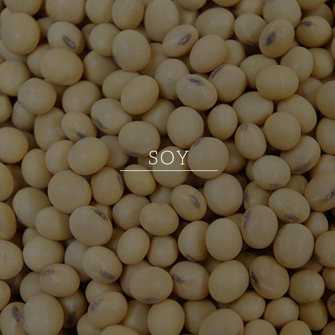KHADI NATURAL Soy Protein Hair Mask-Powered Botanics 200GM