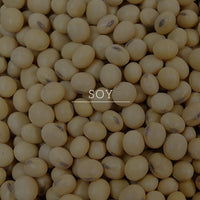 KHADI NATURAL Soy Protein Hair Mask-Powered Botanics 200GM