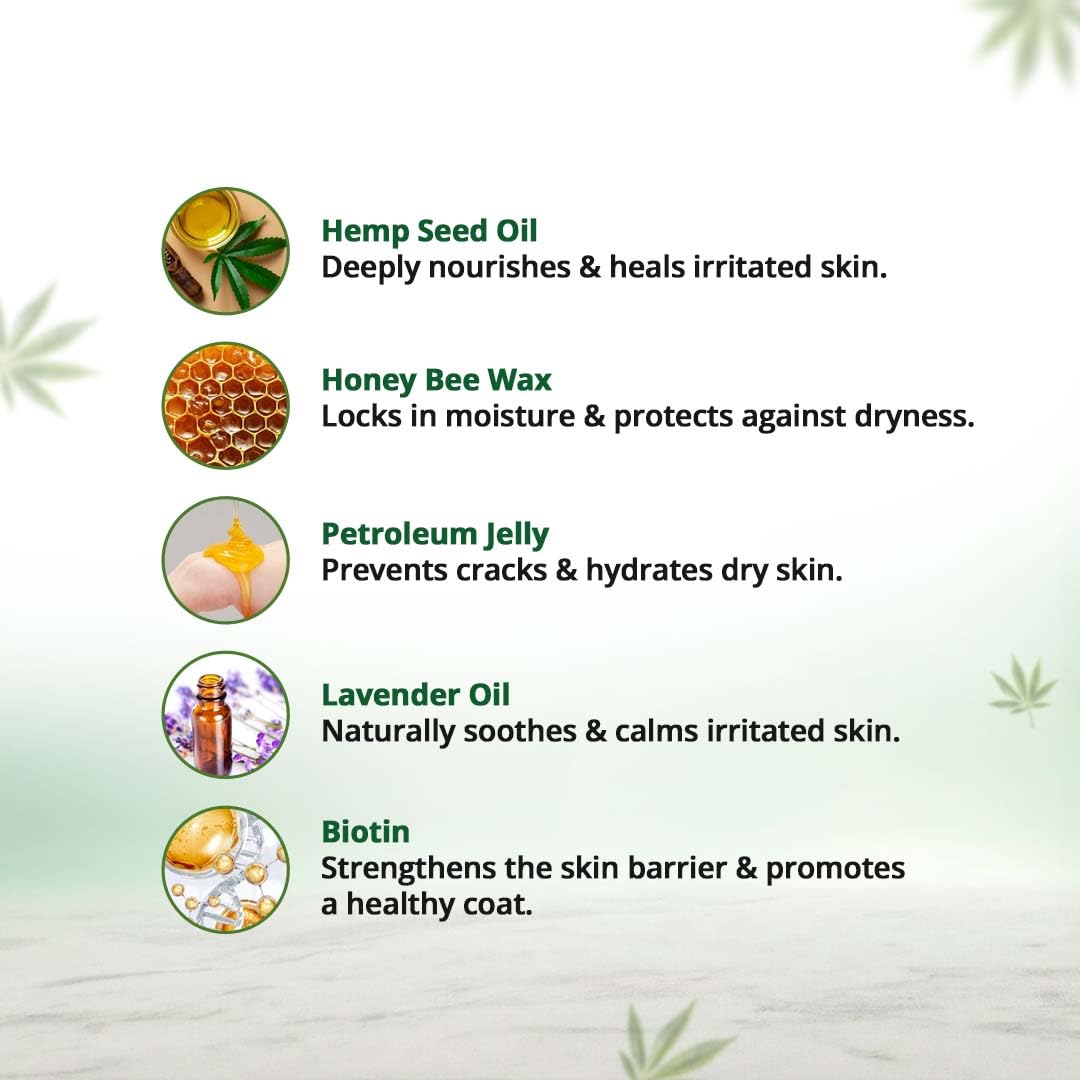 Hampa Hemp Balm for Pets 50g | Nourishing and Moisturizing Balm for Dogs & Cats | Soothes Dry, Cracked Skin, Paws, & Nose | Natural Ingredients with Hemp Seed Oil, Lavender Oil & Biotin