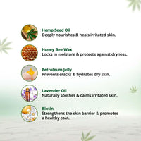 Hampa Hemp Balm for Pets 50g | Nourishing and Moisturizing Balm for Dogs & Cats | Soothes Dry, Cracked Skin, Paws, & Nose | Natural Ingredients with Hemp Seed Oil, Lavender Oil & Biotin