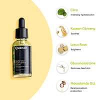 QUENCH BOTANICS Pore Control Serum With 7% Pha & Cica | Reduces Blackheads, Acne Marks & Whiteheads | Minimizes Appearance Of Pores | Gently Exfoliates To Unclog Pores | Made In Korea (30Ml)