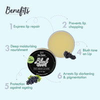 Nat Habit Black Grape Lip Balm For Men,For Lip Lightening,Lip Mask For Dry Lips|Natural,Ayurvedic Lip Care|Fresh Kitchenmade,Desi Ghee,Raw Honey,Shea,Black Grape,Vitamin E|Express Dry Lips Repair,10G
